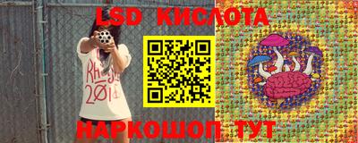 гашик Кунгур