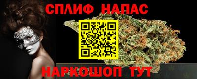 гашик Кунгур