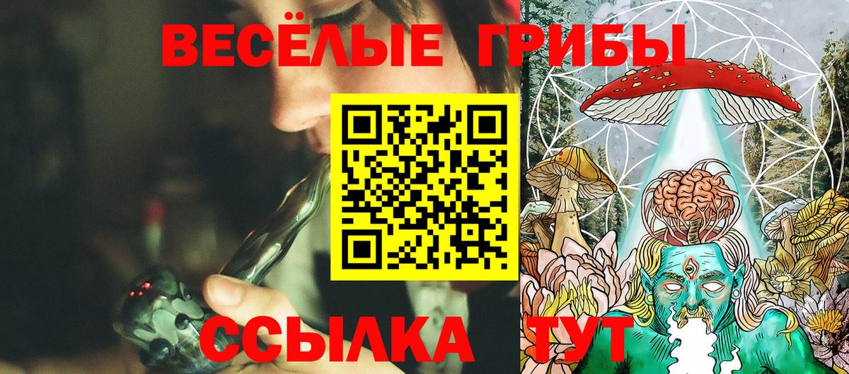 Псилоцибиновые грибы Psilocybe Кострома